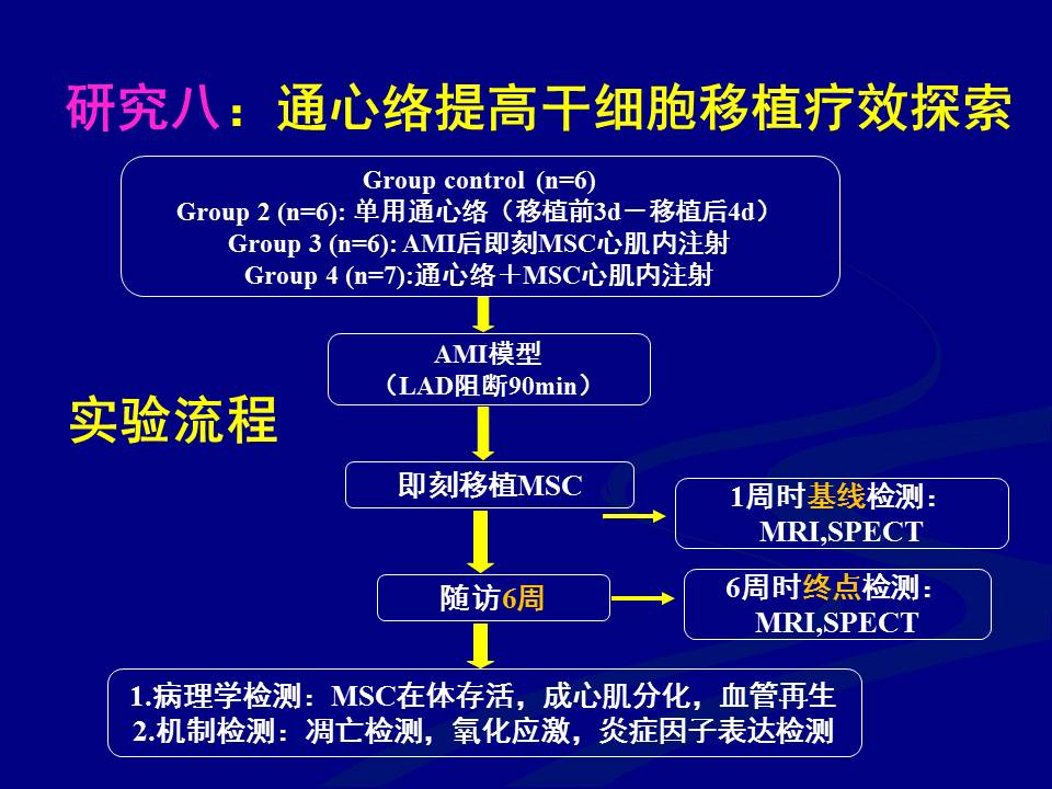 通心络防治ami介入治疗后心肌无再流的作用和机制研究课件冠心病心血管学术资源365医学网